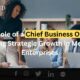 Chief business officer